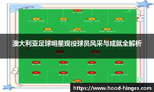 澳大利亚足球明星现役球员风采与成就全解析